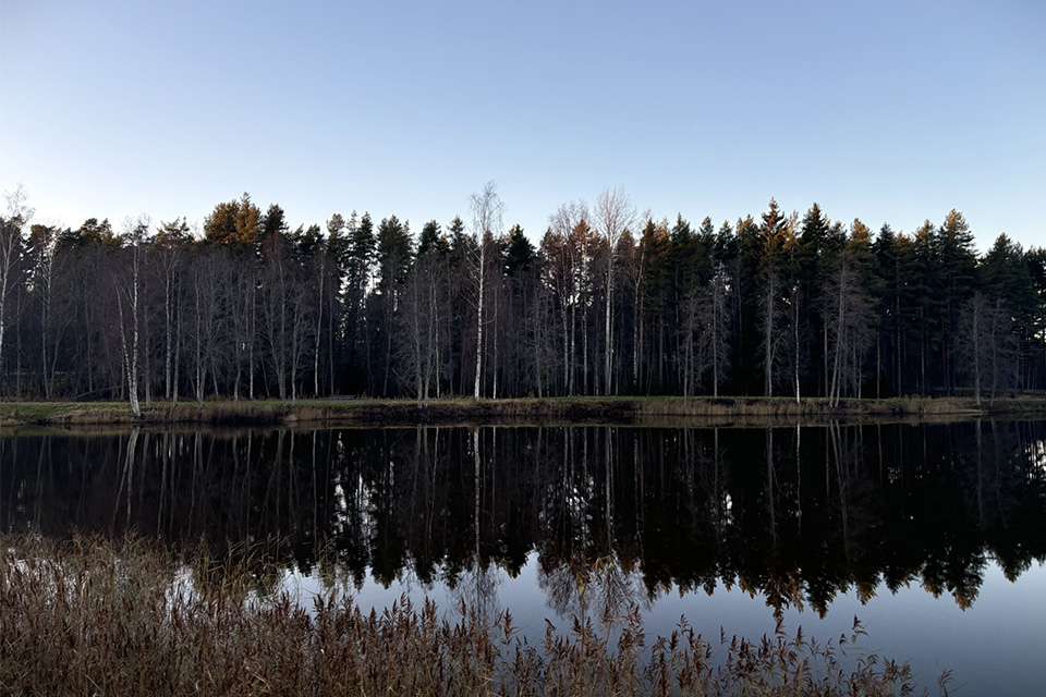 A wintry landscape across a lake and forest of pine trees