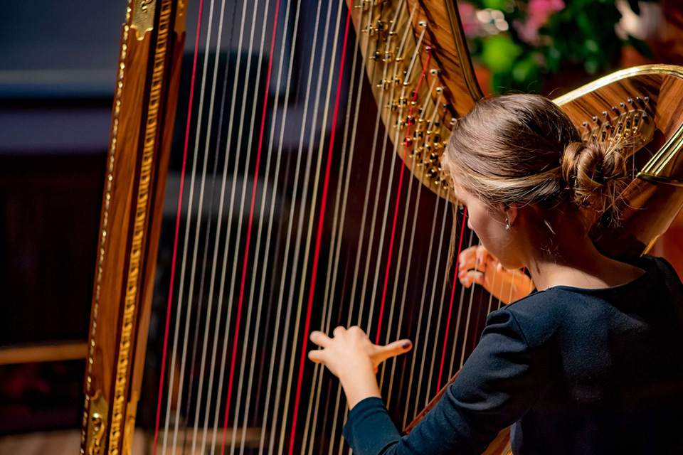 A harpist performs her instrument