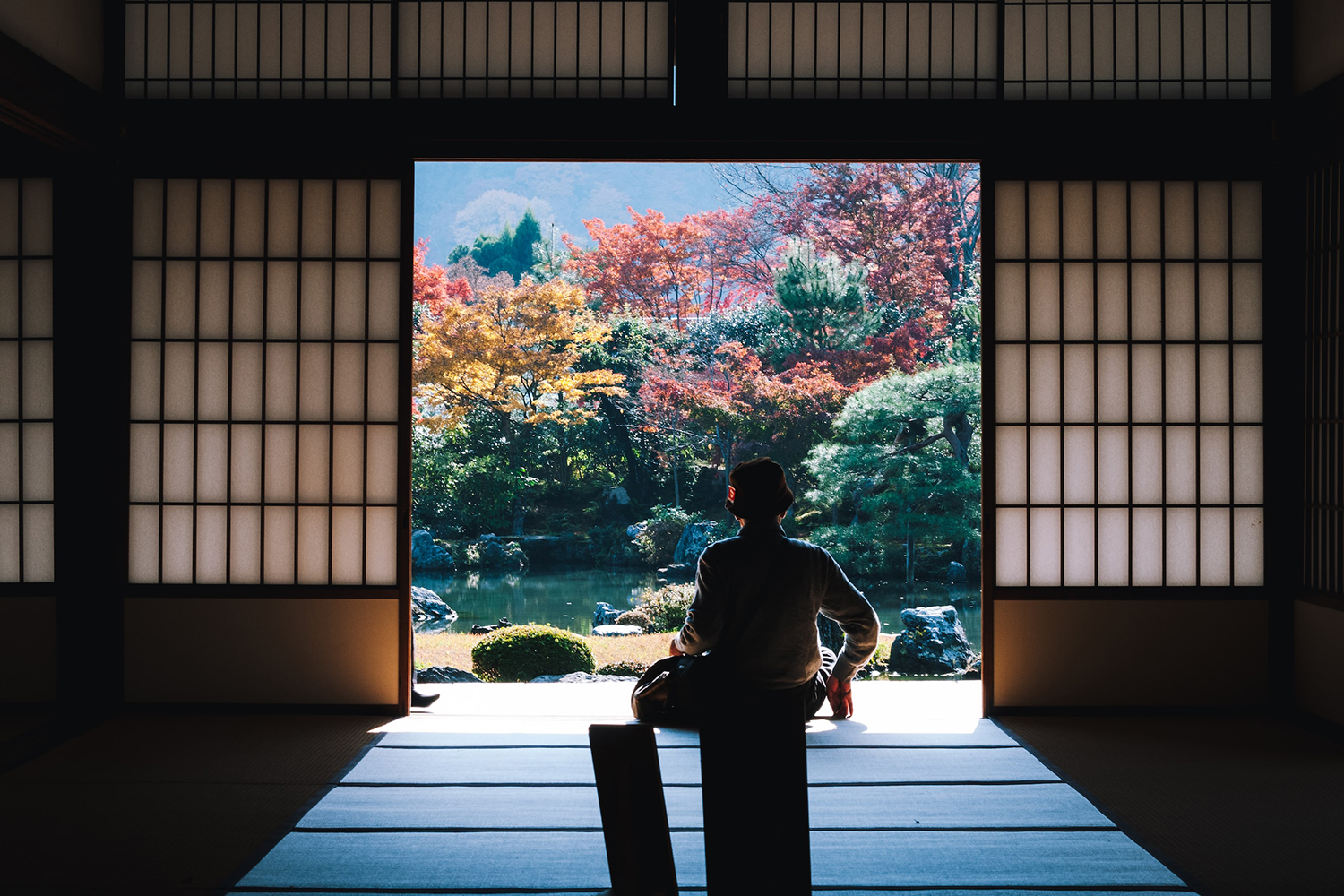 A man looking out of a window with trees in the distance