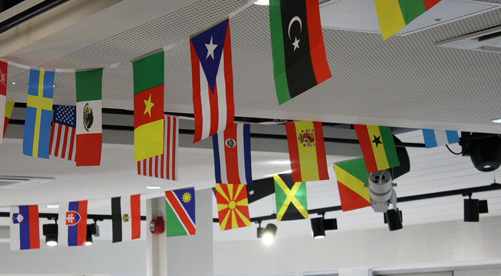 Flags of the world in the RCM bar